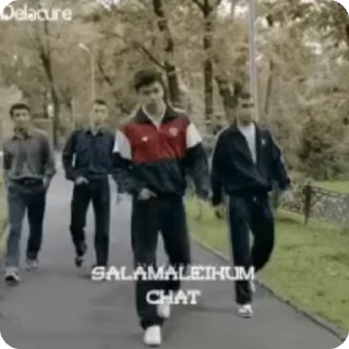🌟