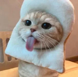 😛