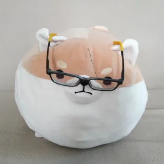 👓