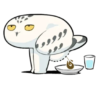 💩