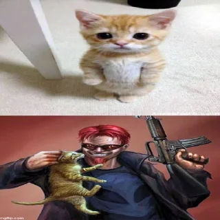 😿