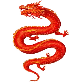 🐲