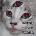👁