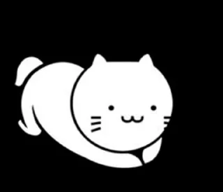 😽