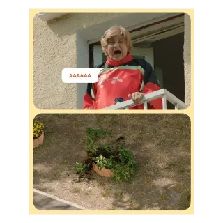 😂