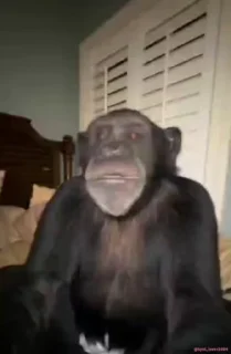 😮