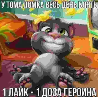 🌟