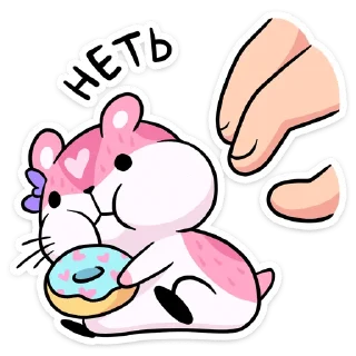 🍩
