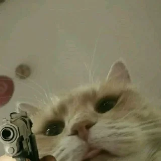🔫