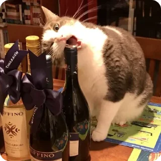 🍷