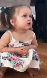 🐥