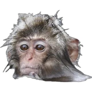 😒