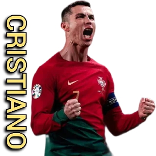🇵🇹