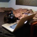 💻