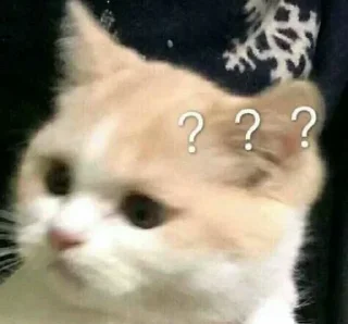 🤔