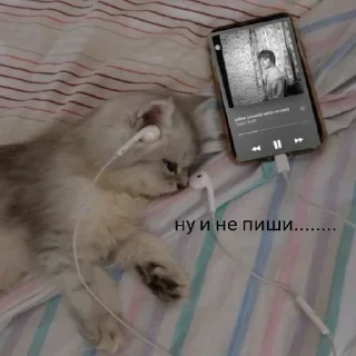 😩