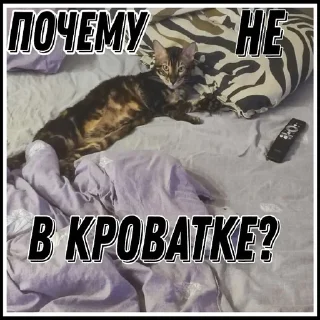 🤔