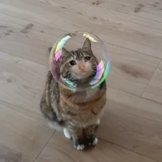 🥺