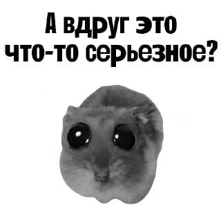 🐹