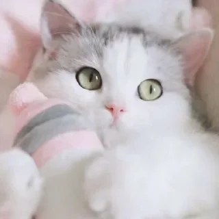 😊