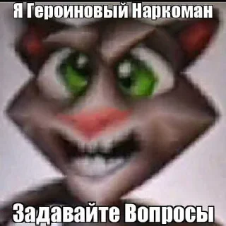😎