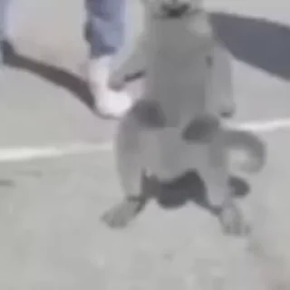 Кому то плоха