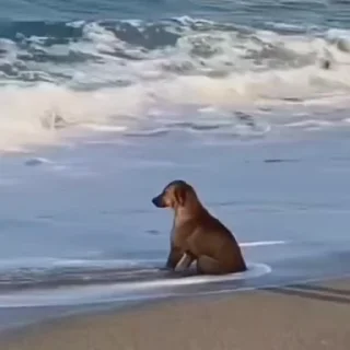😔