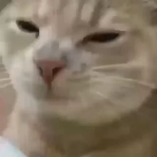 😏