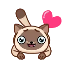 💕