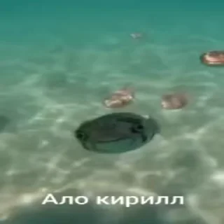 🙂