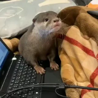 😕