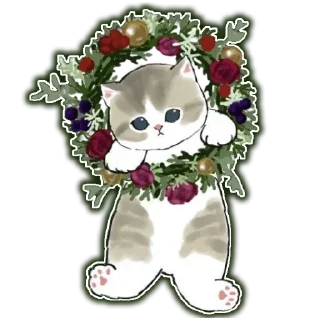 🐱