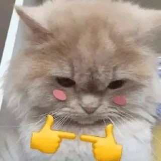 👉