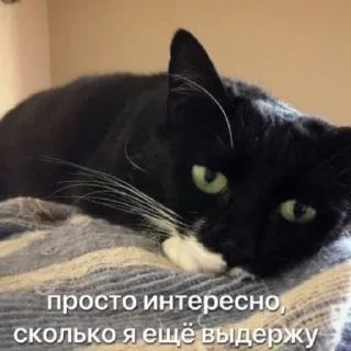 😕