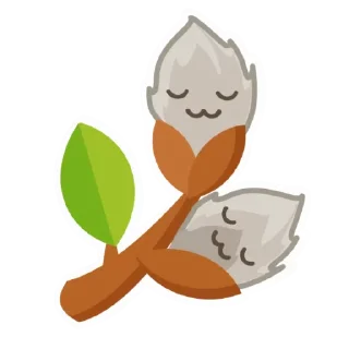 😴