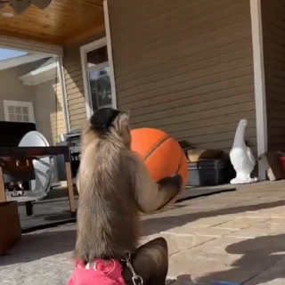 🤩