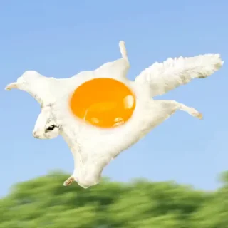 🍳