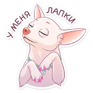 🐾