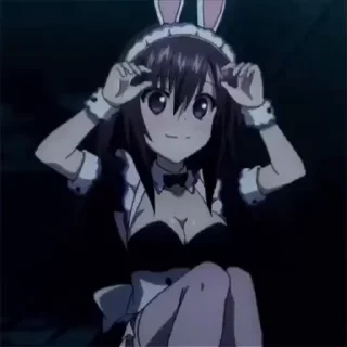 🐰