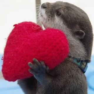 🥰