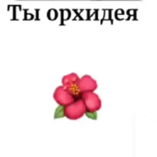 🌸