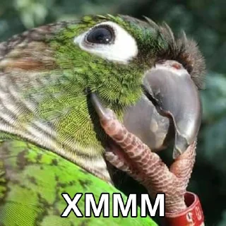 🤨