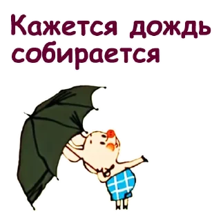 ☔️