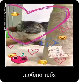 🌟