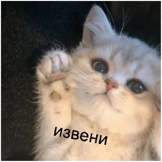🤭