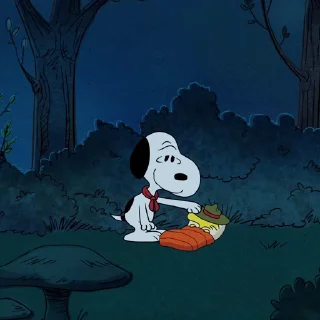 🍀