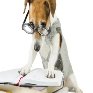 🤓