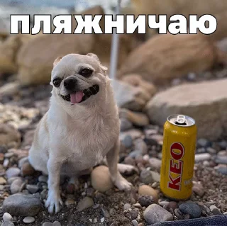 🏝️