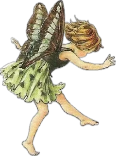 💃