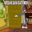 🐱